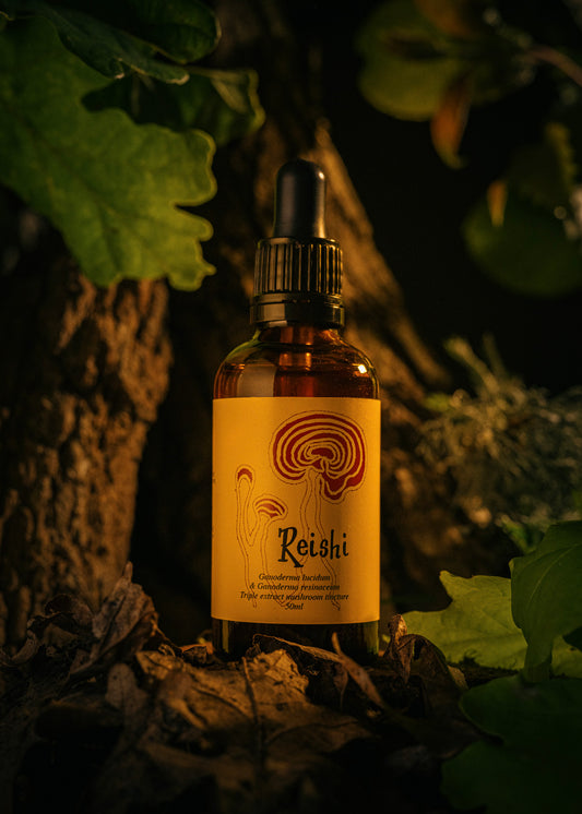 Reishi Tincture